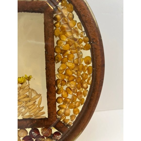 Vintage Pressed Flower Butterfly Seed Bean Corn Round Lucite Hotplate Trivet - Picture 4 of 8
